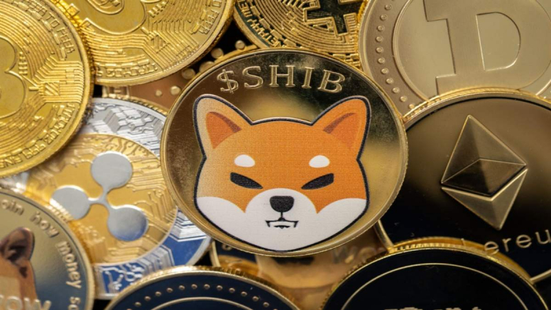 Мемкоин Shiba Inu закрыл август в плюсе. Стоит ли хранить SHIB в сентябре?